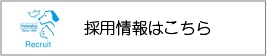 採用情報はこちら