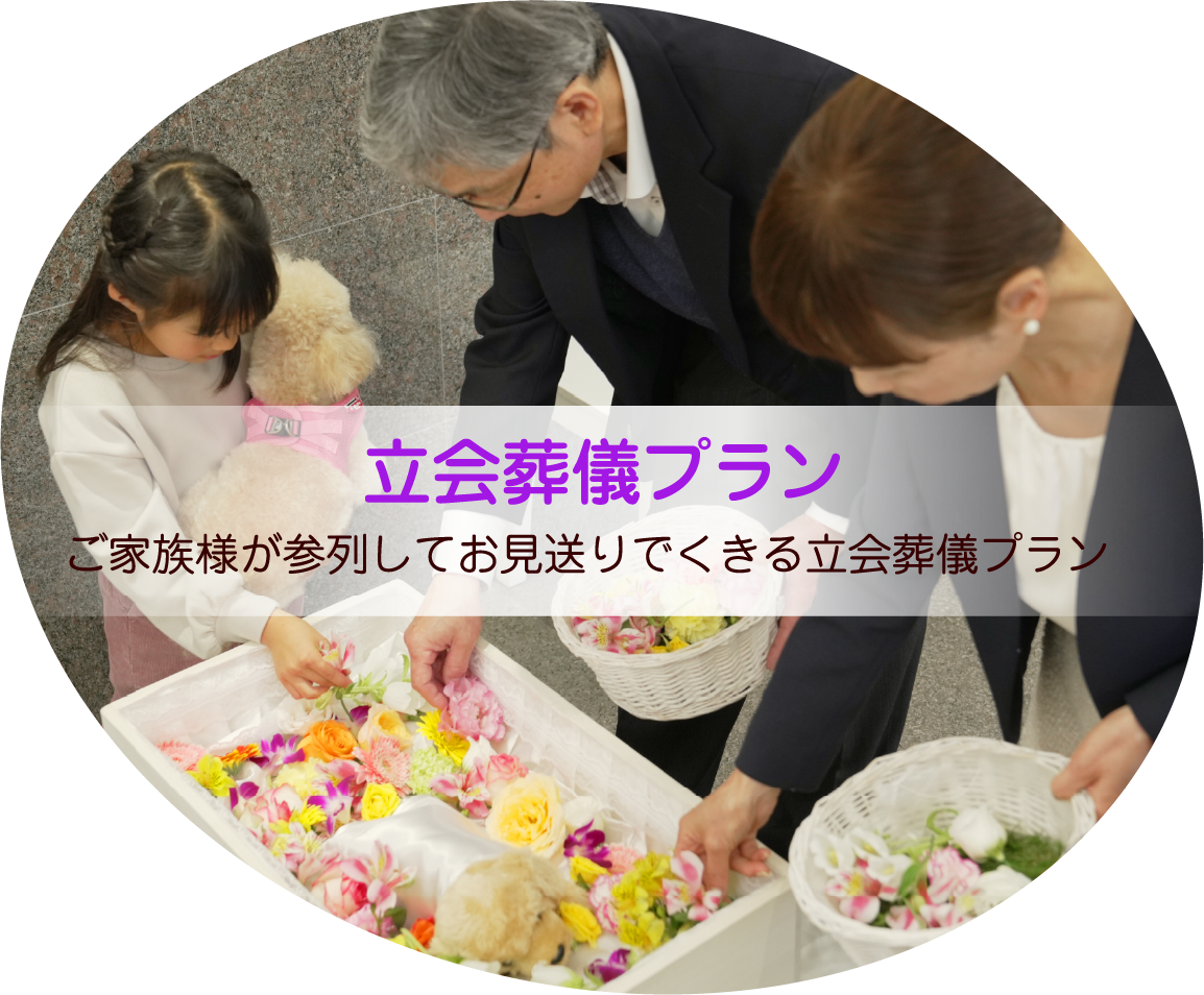 立会葬儀プラン
