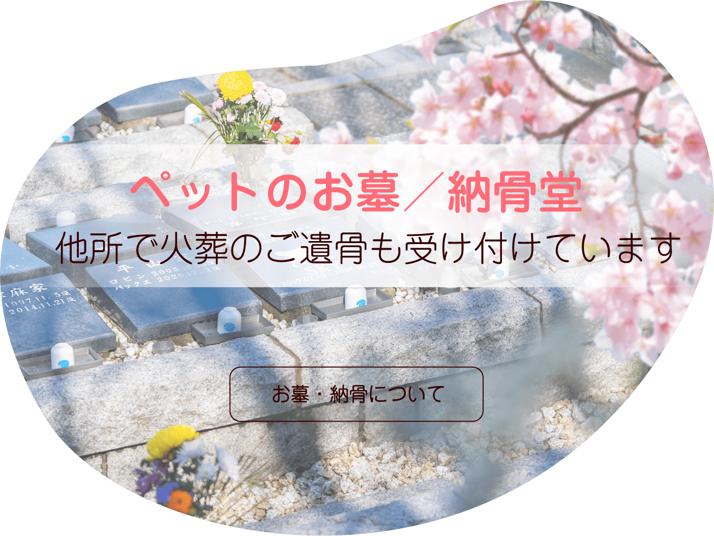 ペットのお墓／納骨堂