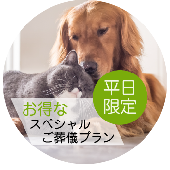 平日限定 お得なスペシャルご葬儀プラン